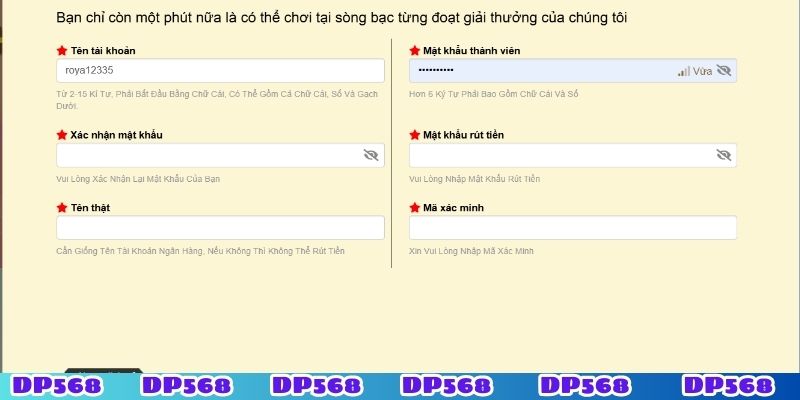 Hướng dẫn nhập liệu thông tin đăng ký