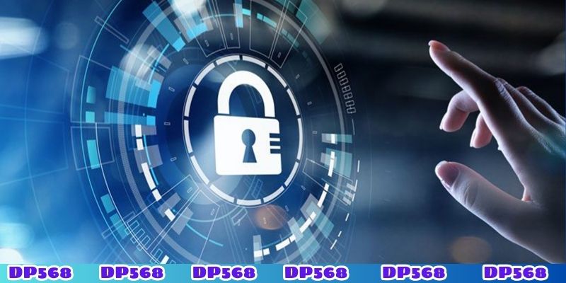Quyền cập nhật và thay đổi của DP568